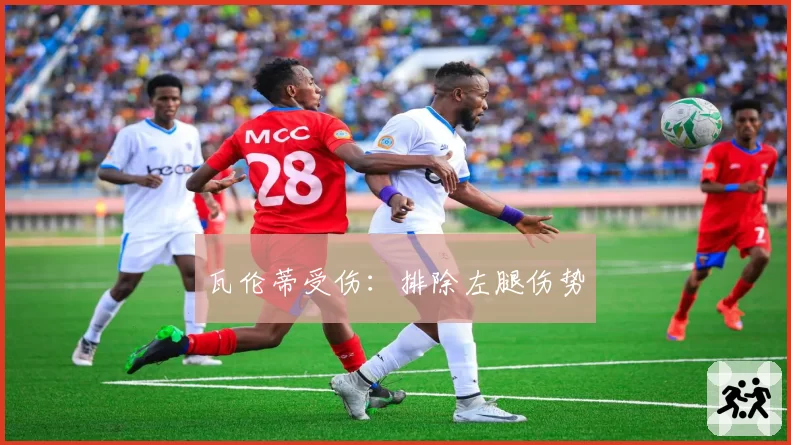 瓦伦蒂受伤：排除左腿伤势