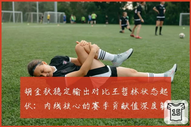 胡金秋稳定输出对比王哲林状态起伏：内线核心的赛季贡献值深度解析