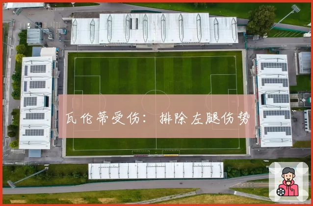 瓦伦蒂受伤：排除左腿伤势