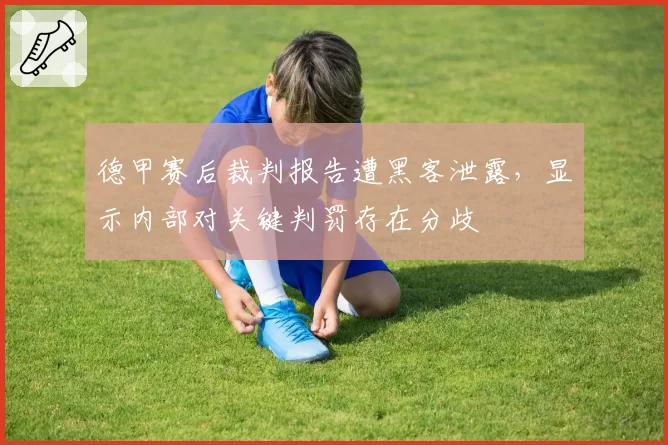 德甲赛后裁判报告遭黑客泄露,显示内部对关键判罚存在分歧