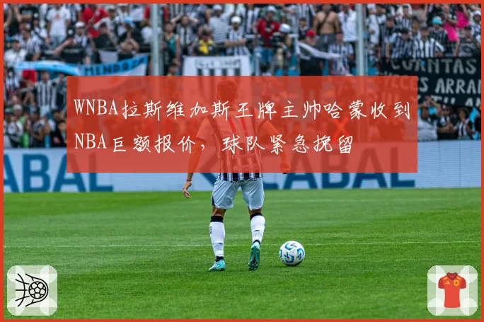 WNBA拉斯维加斯王牌主帅哈蒙收到NBA巨额报价,球队紧急挽留