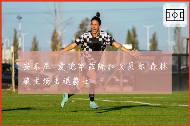 安东尼-爱德华兹隔扣戈贝尔 森林狼主场击退爵士