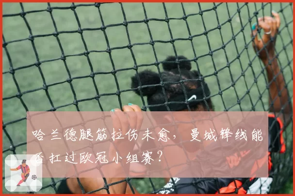 哈兰德腿筋拉伤未愈，曼城锋线能否扛过欧冠小组赛？